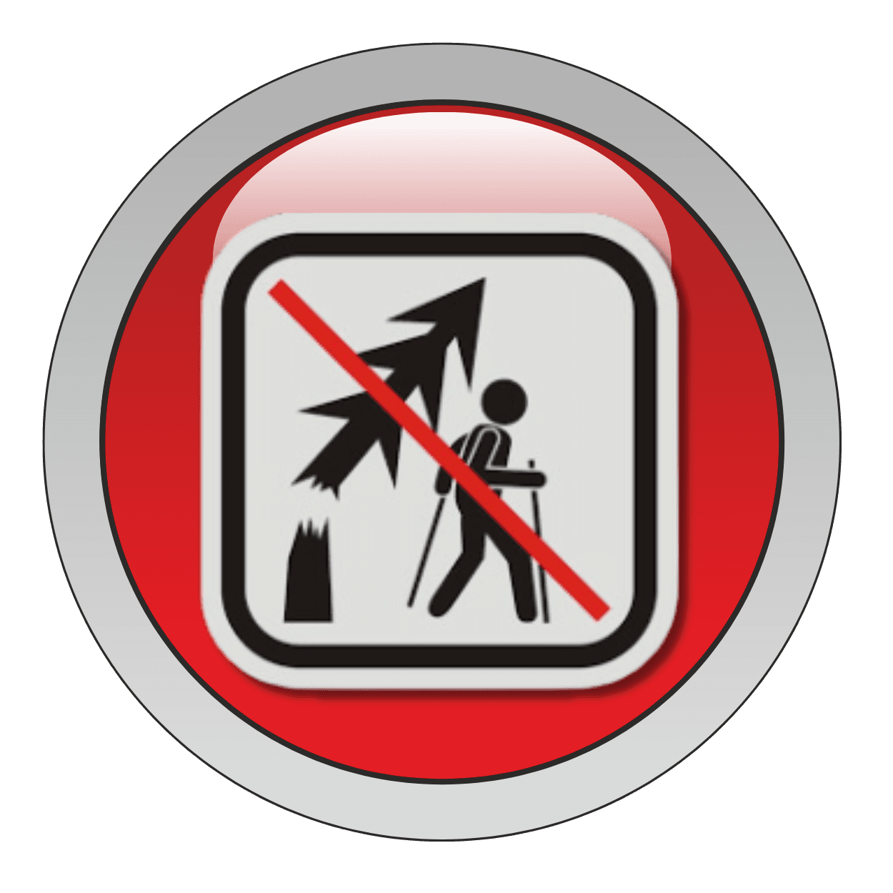 Road Blockage Tree Down